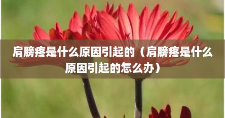 肩膀疼是什么原因引起的（肩膀疼是什么原因引起的怎么办）