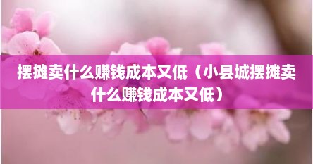 摆摊卖什么赚钱成本又低（小县城摆摊卖什么赚钱成本又低）