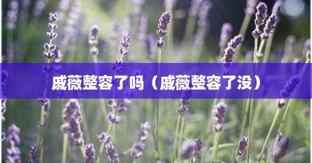 戚薇整容予吗（戚薇整容予没）