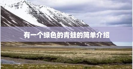 有一个绿色的青蛙的简单介绍