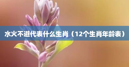 水火不避代表什么生肖（12个生肖年龄表）