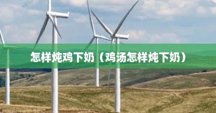 怎样炖鸡下奶（鸡汤怎样炖下奶）