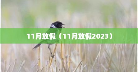 11月放假（11月放假2023）