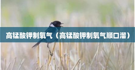 高锰酸钾制氧气（高锰酸钾制氧气顺口溜）