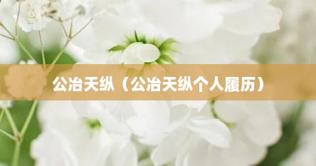 公冶天纵（公冶天纵个人履历）