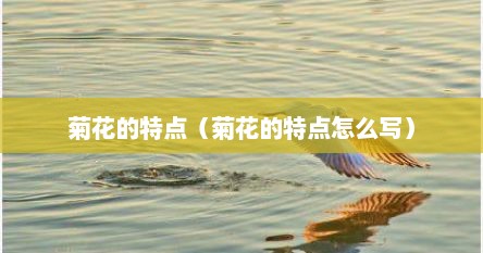 菊花的特点（菊花的特点怎么写）
