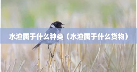 水渣属于什么种类（水渣属于什么货物）