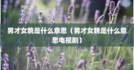 男才女貌是什么意思（男才女貌是什么意思电视剧）