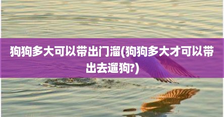 狗狗多大可以带出门溜(狗狗多大才可以带出去遛狗?)