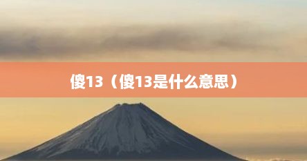 傻13（傻13是什么意思）