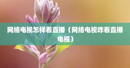 网络电视怎样看直播（网络电视咋看直播电视）