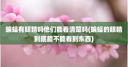 蝙蝠有眼睛吗他们能看清楚吗(蝙蝠的眼睛到底能不能看到东西)