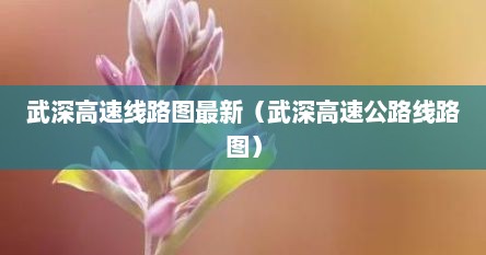 武深高速线路图最新（武深高速公路线路图）
