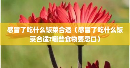 感冒了吃什么饭菜合适（感冒了吃什么饭菜合适?哪些食物要忌口）