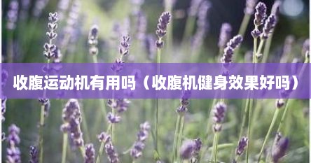 收腹运动机有用吗（收腹机健身效果好吗）