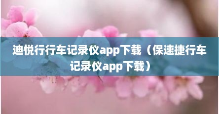迪悦行行车记录仪app下载（保速捷行车记录仪app下载）