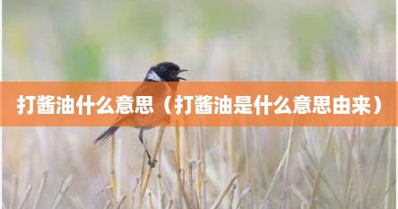 打酱油什么意思（打酱油是什么意思由来）