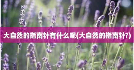 大自然的指南针有什么呢(大自然的指南针?)