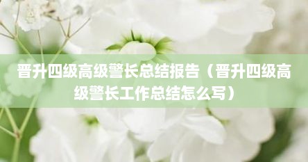 晋升四级高级警长总结报告（晋升四级高级警长工作总结怎么写）