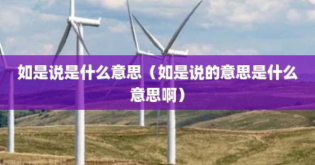 如是说是什么意思（如是说的意思是什么意思啊）