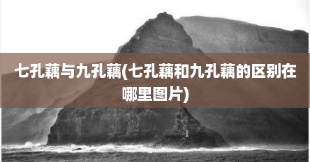 七孔藕与九孔藕(七孔藕和九孔藕的区别在哪里图片)