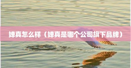 婵真怎么样（婵真是哪个公司旗下品牌）