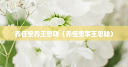 乔任梁乔王思聪（乔任梁事王思聪）