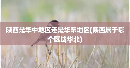 陕西是华中地区还是华东地区(陕西属于哪个区域华北)