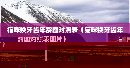 猫咪换牙齿过程动画（猫咪换毛前后图片对比）