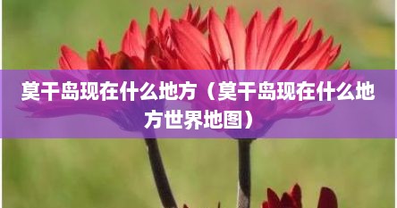 莫干岛现在什么地方（莫干岛现在什么地方世界地图）