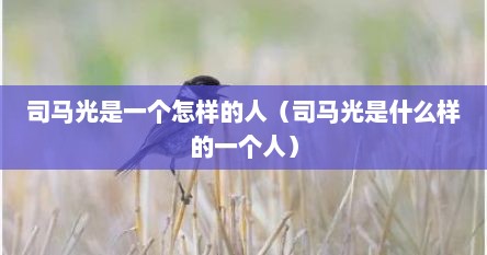 司马光是一个怎样的人（司马光是什么样的一个人）