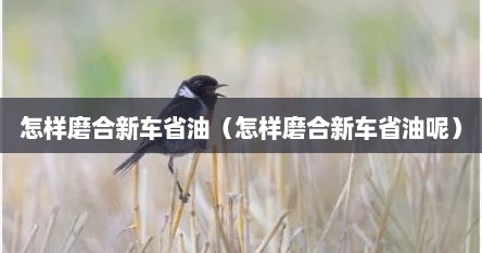 怎样磨合新车省油（怎样磨合新车省油呢）