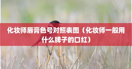 化妆师唇膏色号对照表图(化妆师一般用什么牌子的口红)
