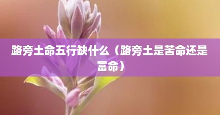 路旁土命是劳碌命吗（路旁土命里缺什么）