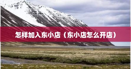 怎样加入东小店（东小店怎么开店）