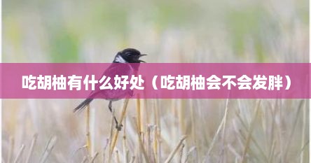 吃胡柚有什么好处（吃胡柚会不会发胖）