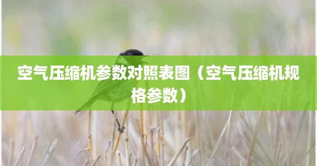 空气压缩机参数对照表图（空气压缩机规格参数）
