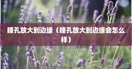 瞳孔放大到边缘（瞳孔放大到边缘会怎么样）