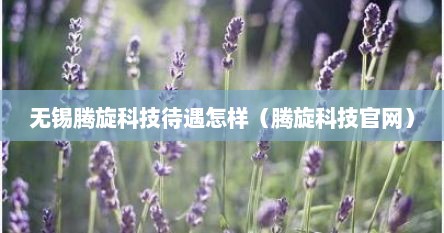无锡腾旋科技待遇怎样（腾旋科技官网）