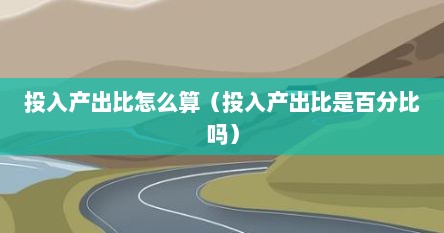 投入产出比怎么算（投入产出比是百分比吗）
