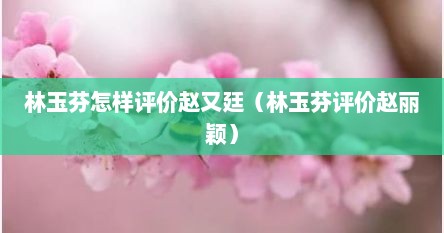 林玉芬怎样评价赵又廷（林玉芬评价赵丽颖）