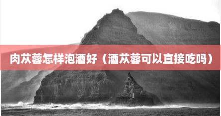 肉苁蓉怎样泡酒好（酒苁蓉可以直接吃吗）