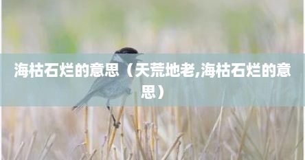 海枯石烂的意思（天荒地老,海枯石烂的意思）
