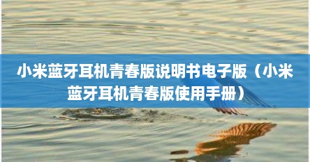 小米蓝牙耳机青春版说明书电子版（小米蓝牙耳机青春版使用手册）