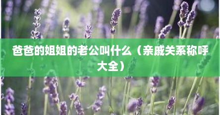 爸爸的姐姐的老公叫什么（亲戚关系称呼大全）