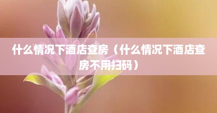 什么情况下酒店查房（什么情况下酒店查房不用扫码）