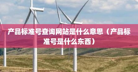 产品标准号查询网站是什么意思（产品标准号是什么东西）