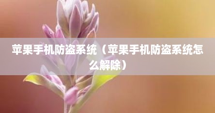 苹果手机防盗系统（苹果手机防盗系统怎么解除）