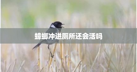 蟑螂冲进厕所还会活吗