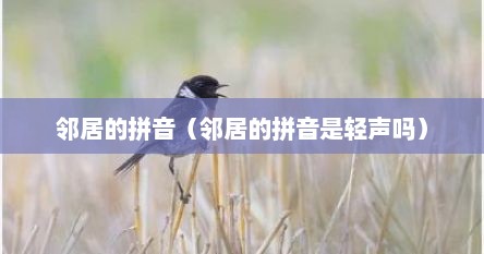 邻居的拼音（邻居的拼音是轻声吗）